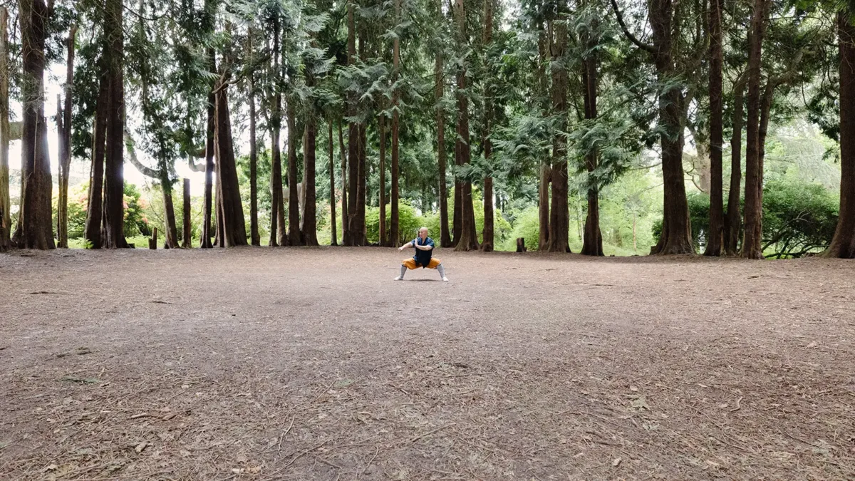 Shaolin Kung Fu Training