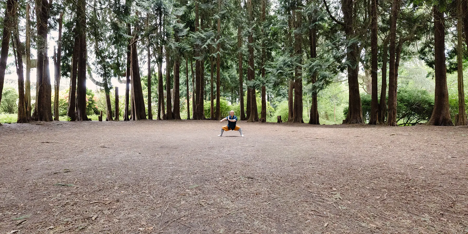 Shaolin Kung Fu Training