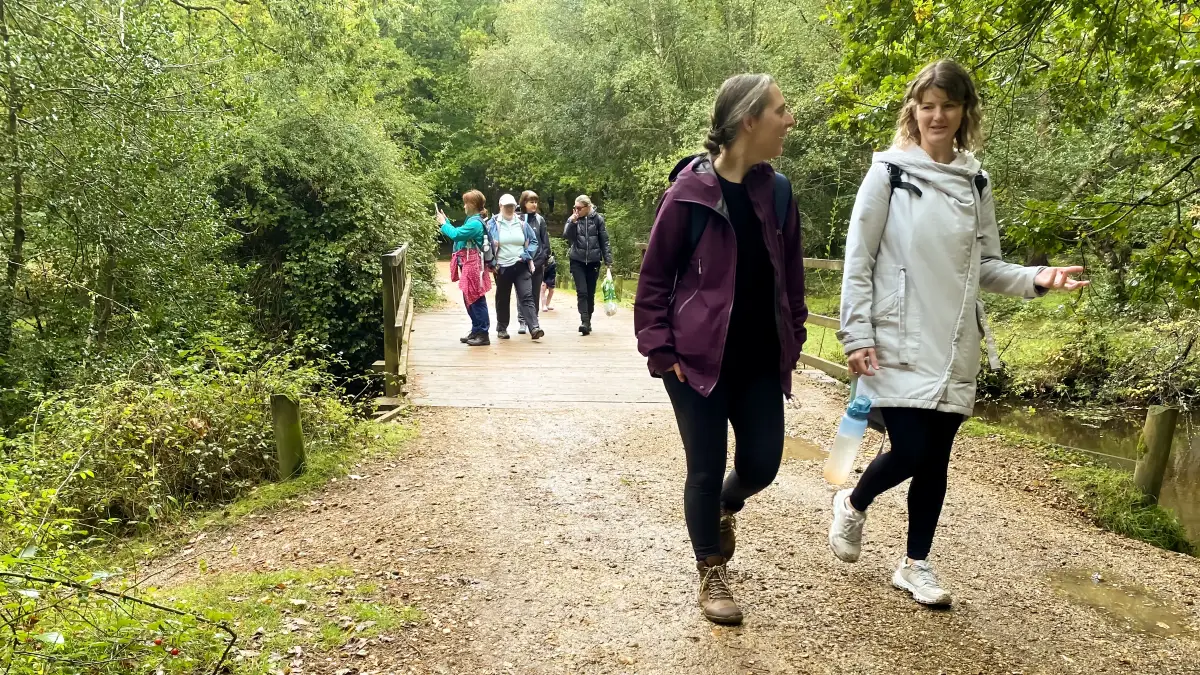 New Forest Mindfulness Walk 2025 New Forest Mindfulness Walk 2025