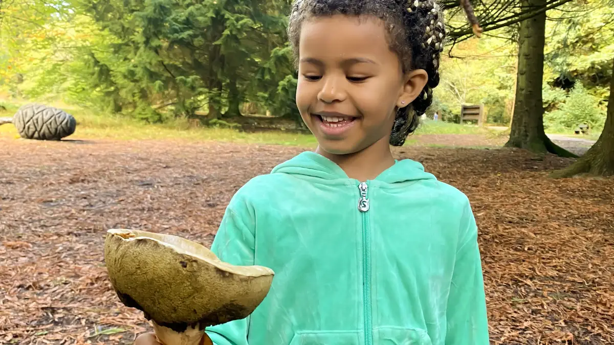 New Forest Mindfulness Walk 2025 New Forest Mindfulness Walk 2025
