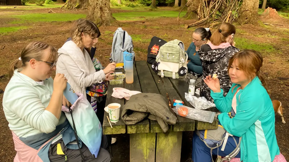 New Forest Mindfulness Walk 2025 New Forest Mindfulness Walk 2025