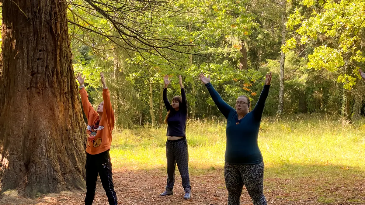 New Forest Mindfulness Walk 2025 Tai Chi New Forest Mindfulness Walk 2025 Tai Chi
