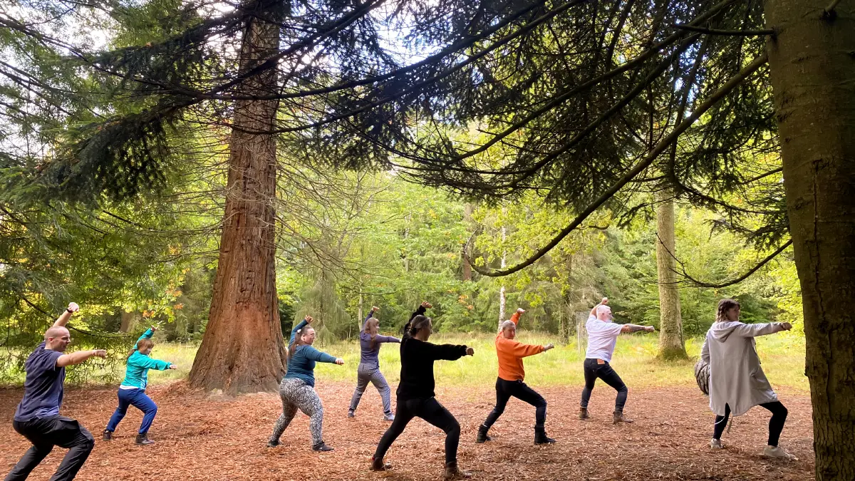 New Forest Mindfulness Walk 2025 Kung Fu New Forest Mindfulness Walk 2025 Kung Fu